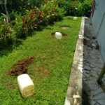 Tests de perméabilité du sol réalisés sur une parcelle en Guadeloupe pour une étude ANC